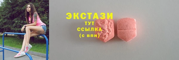 ECSTASY Богородск